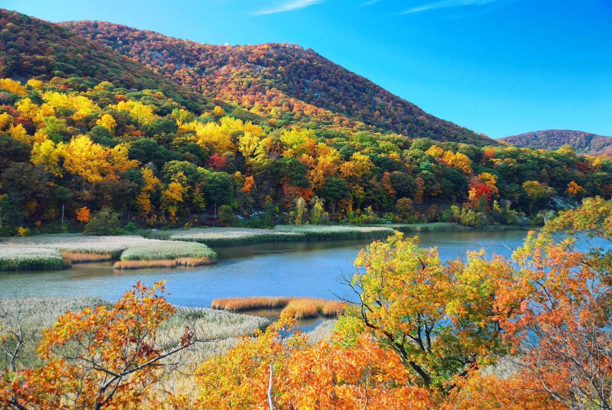 Hyatt House Fishkill-Poughkeepsie Hotell Eksteriør bilde